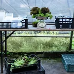 Biomatto Gospodarstwo agroturystyczne Arona