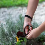 Gospodarstwo agroturystyczne Biomatto Arona