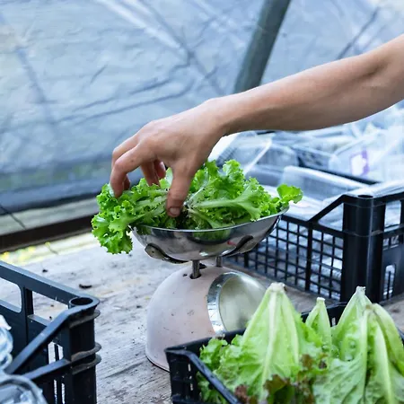 Biomatto Gospodarstwo agroturystyczne *