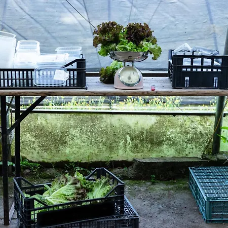 Biomatto Farm stay Arona