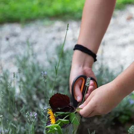 Farm stay Biomatto Arona