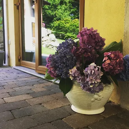 Farm stay Biomatto Arona