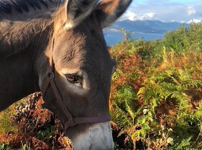 Séjour à la ferme Biomatto *