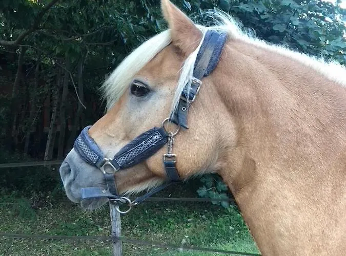 Agroturismo Biomatto *