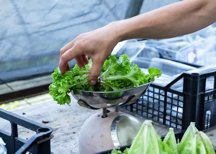 Biomatto Séjour à la ferme *