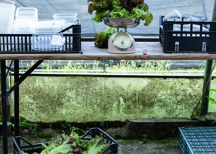 Biomatto Séjour à la ferme Arona