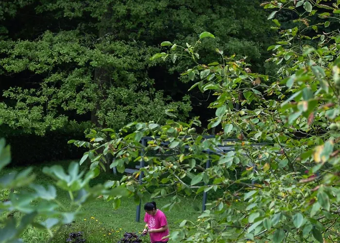 Séjour à la ferme Biomatto *