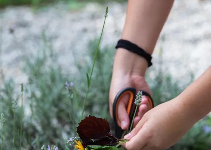 Séjour à la ferme Biomatto Arona