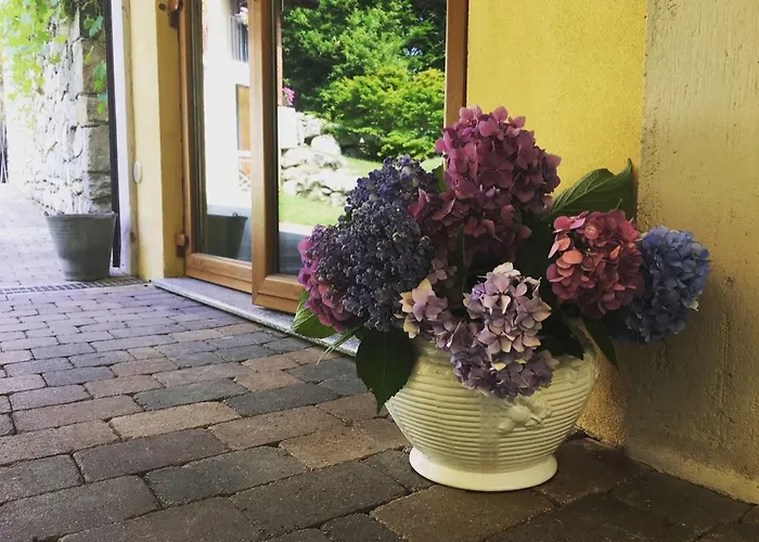 Séjour à la ferme Biomatto Arona